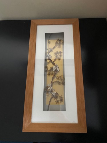 Next home flower picture - , 3d