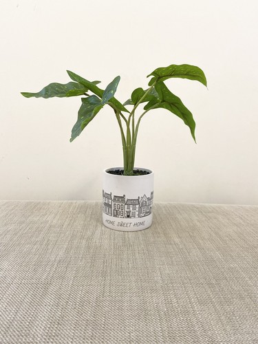 Next artificial plant white - plant,