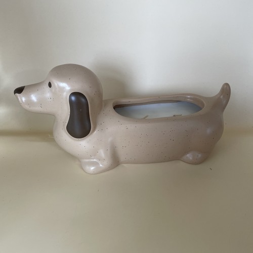 Next home sausage - home, dog