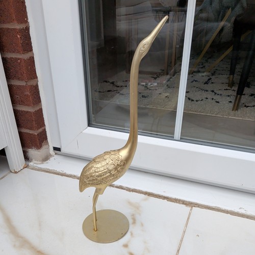 Next golden bird - next,