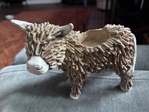 Next hamish highland cow - hamish,